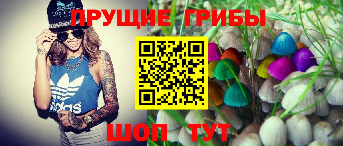Карталы  Псилоцибиновые грибы MAGIC MUSHROOMS  Псилоцибиновые грибы мицелий  Вход с VPN 